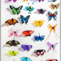 Clear Cut Crafts