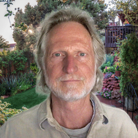 Daniel B. Holeman