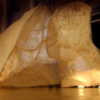 Codie Schumann-Moerschel