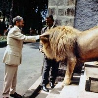 Mateus TafarI