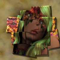Willow DaNaan