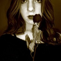 Laura Rose