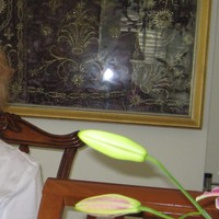 Duygu Kivanc