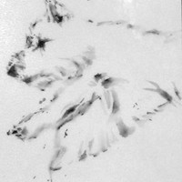 Dana Koffenberger