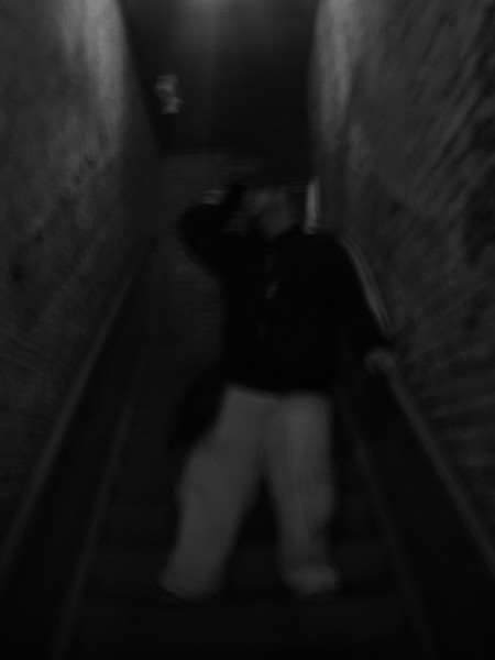 Self Portrait