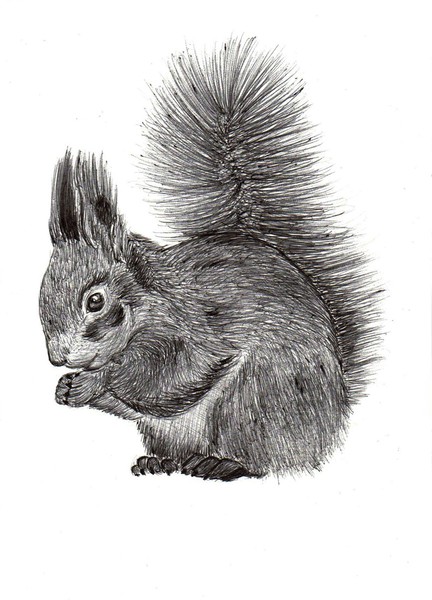 Self Portrait