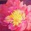 Sandra Homer-Frantz
