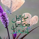 amany fahmy