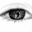 penny haviland