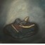 shane timm