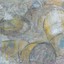 shulamit ashkenazi