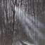 jean billsdon