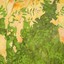 Clemente Picornell Florit