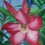 Rosette Ramos-Brewer