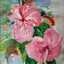 Marguerite de la Harpe