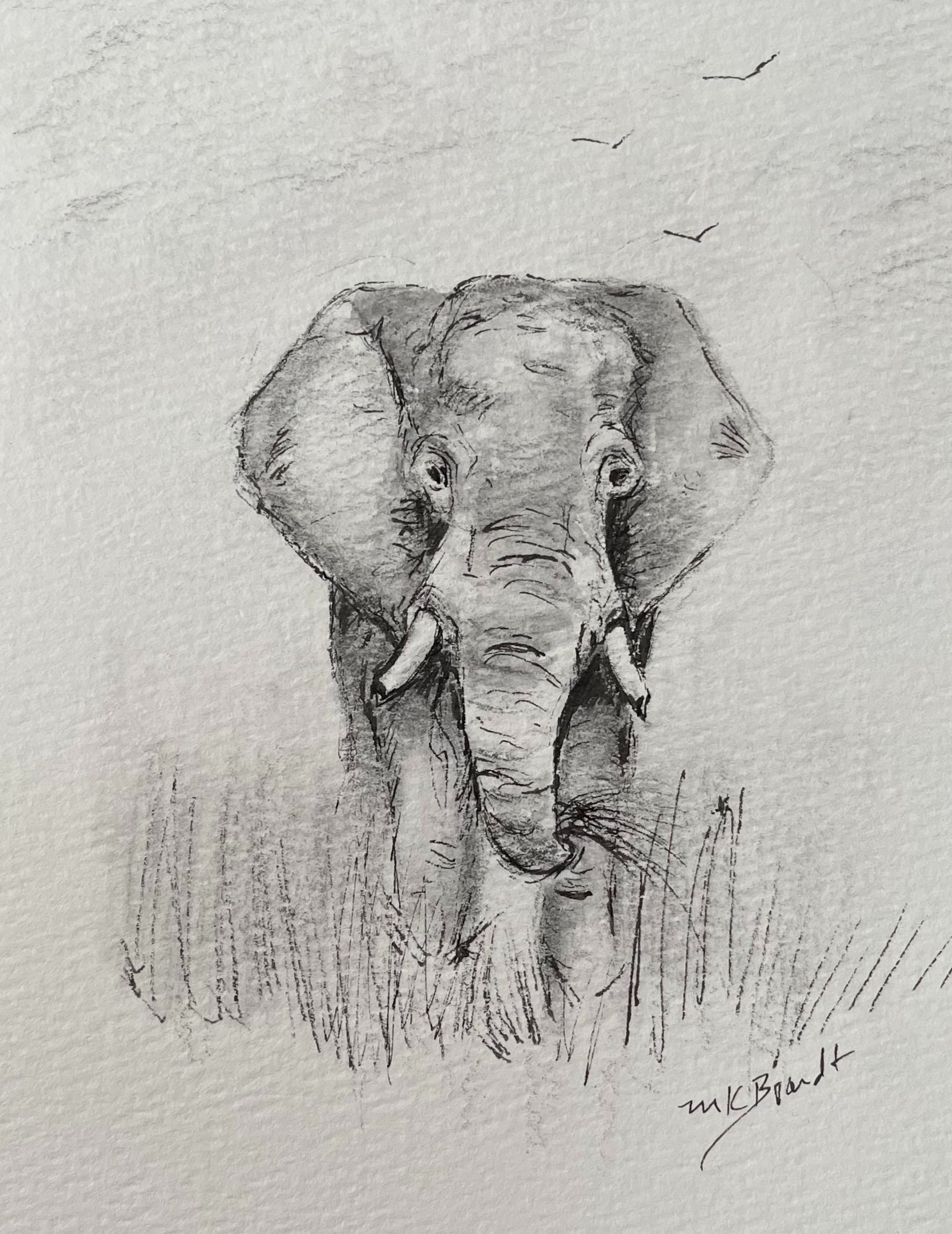 Self Portrait