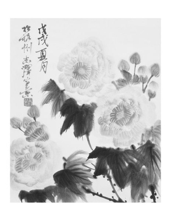 Book Preview
