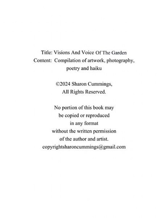 Book Preview