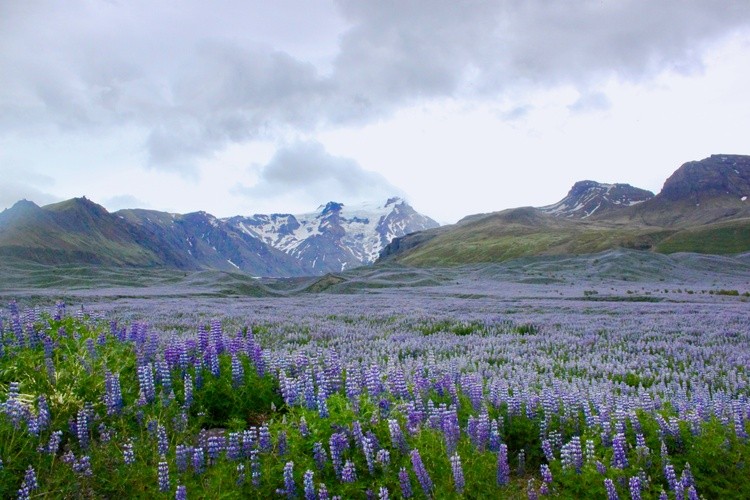 Iceland Summer