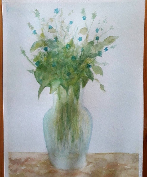 Forget-me-not flowers
