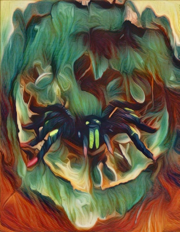 spider