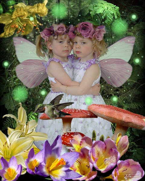 twin fae's