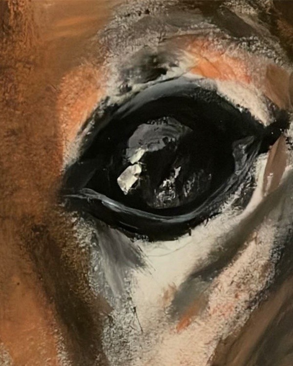 03082022 - Detail of my latest dog portrait - art artofinstagram artistsoninstagram artist artwork a