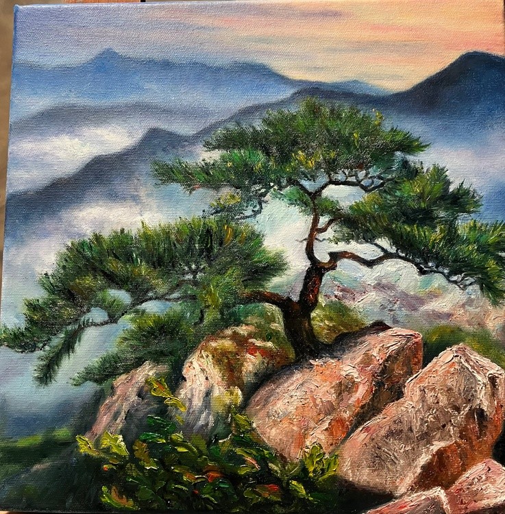 Pine and Rocks