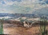 Deep Creek Gulls