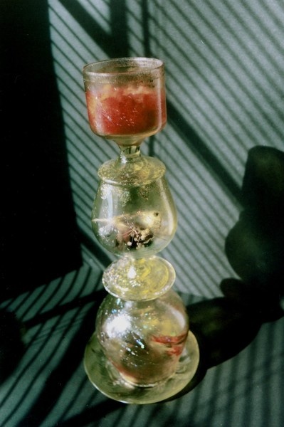 Dead Rose Tower