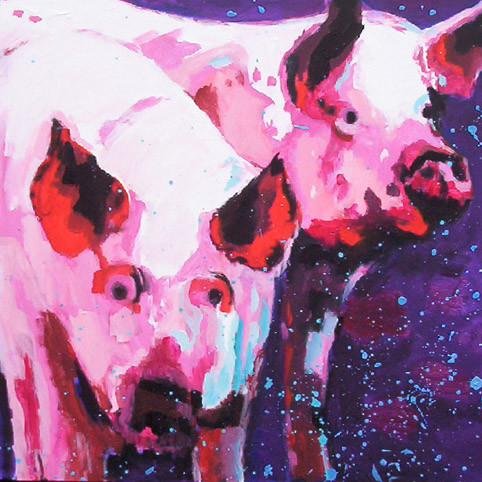 D203 pigs