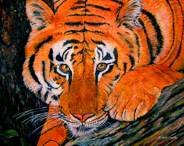 Tiger eyes