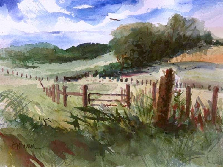 Pasture South June