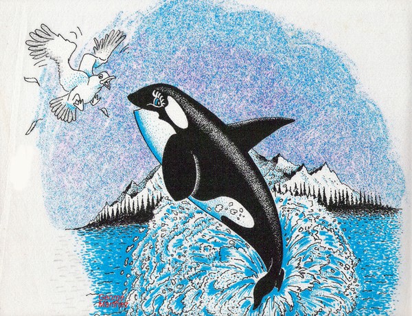 baby whale