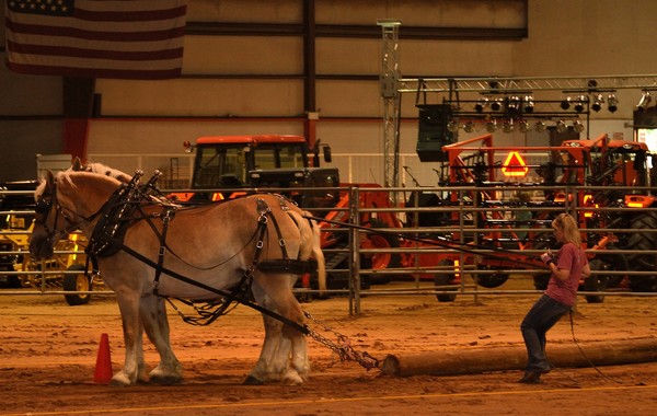 County Fair