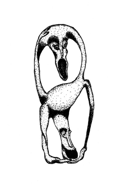 two heads