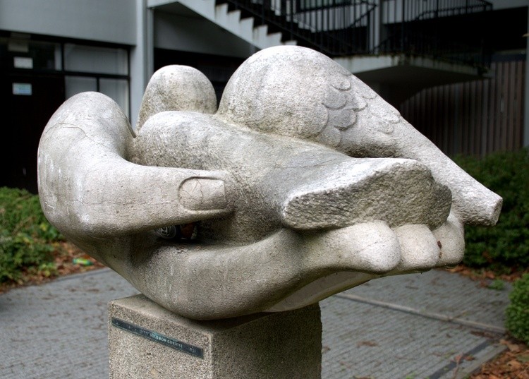 A Bird In The Hand