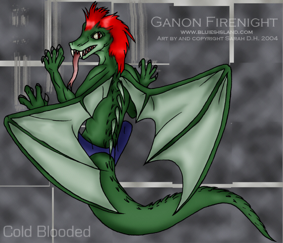 Ganon Firenight