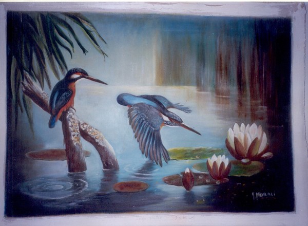 king  fishers