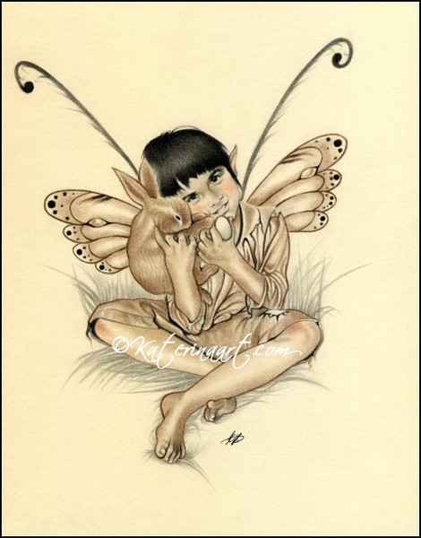 Boys wings and furry things