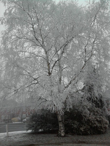 A touch of Frost.