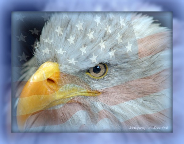 American Pride