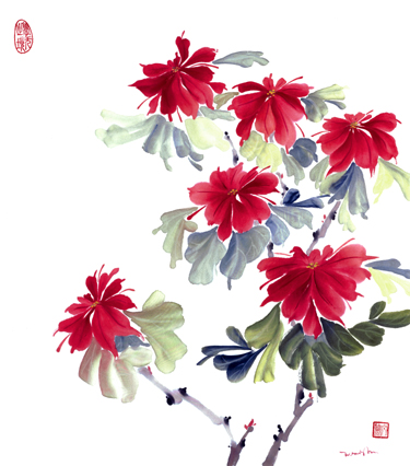 Poinsettias