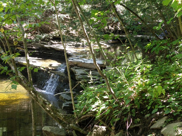 Hidden Falls