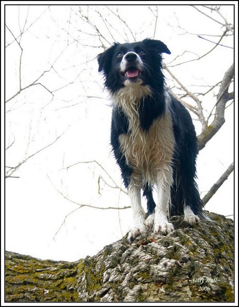 Look-out