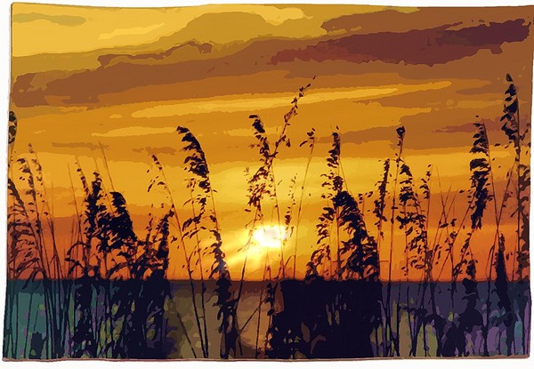 A Grassy Sunset