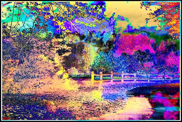 Autumns Embrace