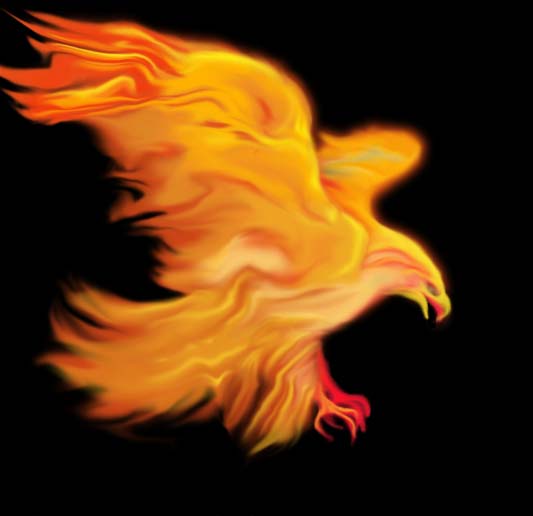 bird of fire