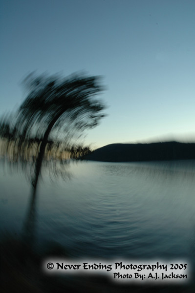 Twisted Tree
