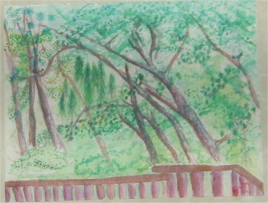 A Deck in the Woods